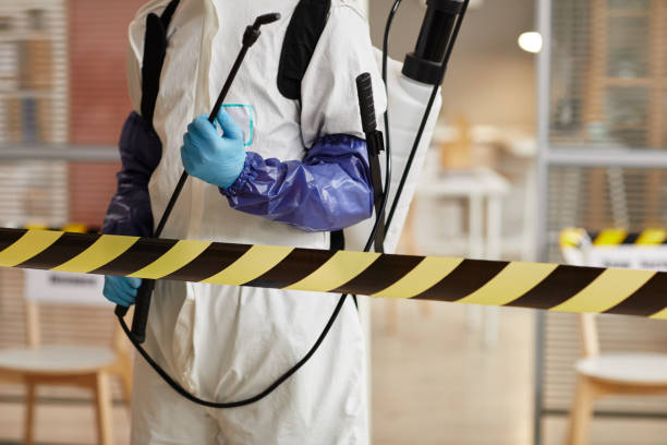 Professional Hoarding Cleanup technician working in Newfield, NJ